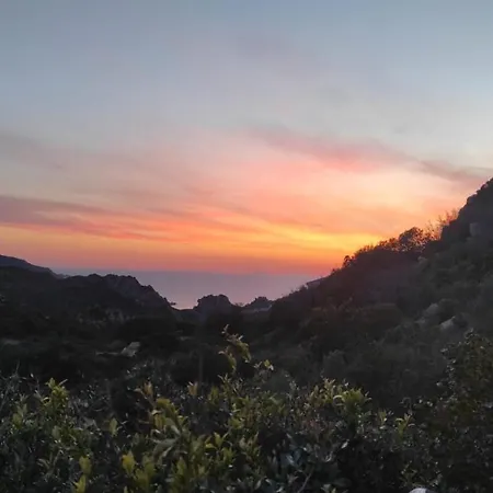 Monica コスタ・パラディーゾ