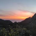 Monica Costa Paradiso