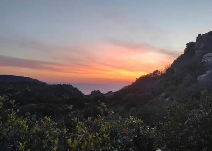Monica Costa Paradiso